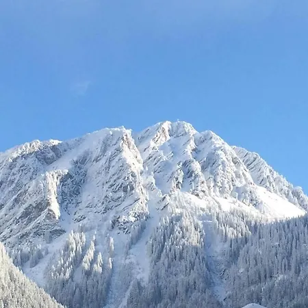 Alpenchalet Breitspitz Partenen